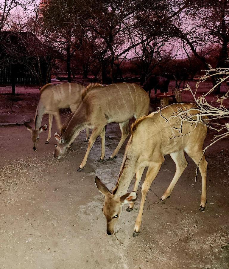 玛洛斯帕克Kudus Crest Bush Retreat公寓 外观 照片